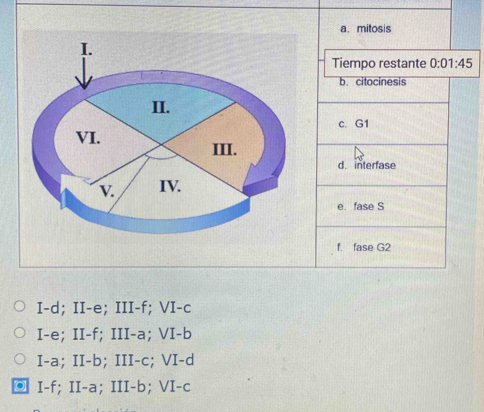 mitosis
I.
Tiempo restante 0:01:45
b. citocínesis
II.
c. G1
VI.
III.
d. interfase
V. IV.
e. fase S
f. fase G2
I-d; II-e; III-f; VI-c
I-e; II-f; III-a; VI-b
I-a; II-b; III-c; VI-d
□ I-f; II-a; III-b; VI-c