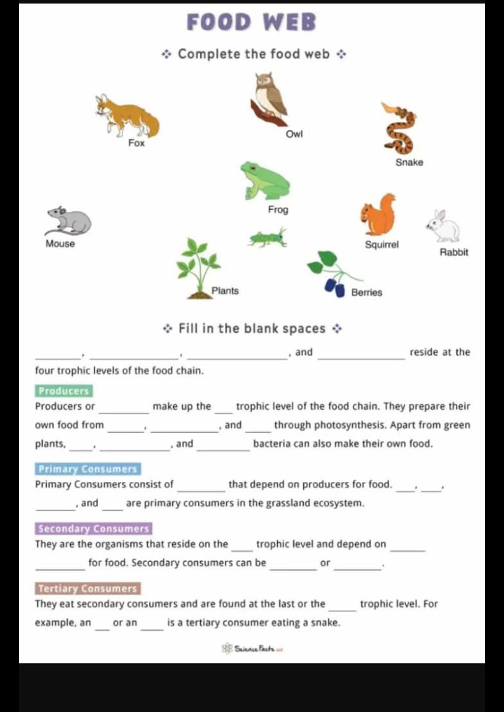 FOOD WEB 
* Complete the food web * 
* Fill in the blank spaces * 
__ 
__ 
, and reside at the 
four trophic levels of the food chain. 
Producers 
Producers or _make up the _trophic level of the food chain. They prepare their 
own food from_ . _, and _through photosynthesis. Apart from green 
plants, _._ 
_ 
, and bacteria can also make their own food. 
Primary Consumers 
_ 
__ 
Primary Consumers consist of that depend on producers for food. . 
_ 
_ 
, and are primary consumers in the grassland ecosystem. 
Secondary Consumers 
_ 
_ 
They are the organisms that reside on the trophic level and depend on 
_ 
_for food. Secondary consumers can be _or . 
Tertiary Consumers 
_ 
They eat secondary consumers and are found at the last or the trophic level. For 
_ 
_ 
example, an or an is a tertiary consumer eating a snake. 
38 Science fasts ===