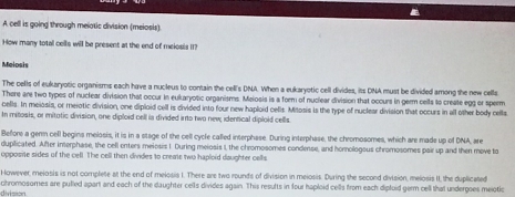 A cell is going through melatic division (meiosis) 
How many total cells will be present at the end of meiosis II? 
Melosis 
The cells of eukaryotic organisms each have a nucleus to contain the cell's DNA. When a eukaryotic cell divides, its DNA must be divided among the new cells 
There are two types of nuclear division that occur in eukaryotic organisms. Melosis is a form of nuclear division that occurs in germ cells to create egg or sperm 
cells. In meiosis, or merotic division, one diploid cell is divided into four new haploid cells. Mitosis is the type of nuclear division that occurs in all other body cells 
In mitosis, or mitotic division, one diploid cell is divided irto two new; identical diploid cells 
Before a germ cell begins melosis, it is in a stage of the cell cycle called interphase. During interphase, the chromosomes, which are made up of DNA, are 
duplicated. After interphase, the cell enters meiosis I. During meiosis I, the chromosomes condense, and horologous chromosomes pair up and then move to 
opposite sides of the cell. The cell then divdes to create two haploid daughter cells 
However, meiosis is not complete at the end of melosis I. There are two rounds of division in meiosis. During the second division, melosis II, the duplicated 
division. chromosomes are pulled apart and each of the daughter cells divides again. This resufts in four haploid cells from each diploid germ cell thal undergoes meiotic