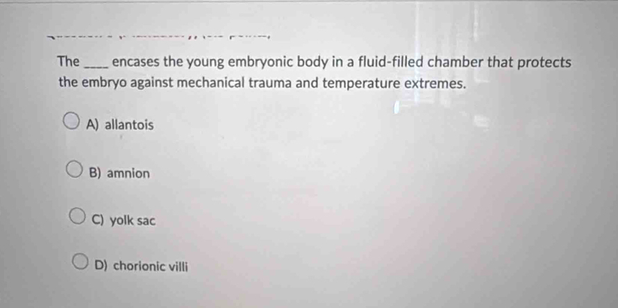 The_ encases the young embryonic body in a fluid-filled chamber that protects
the embryo against mechanical trauma and temperature extremes.
A) allantois
B) amnion
C) yolk sac
D) chorionic villi