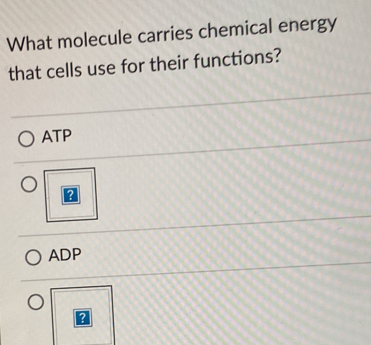 What molecule carries chemical energy
that cells use for their functions?
ATP
?
ADP