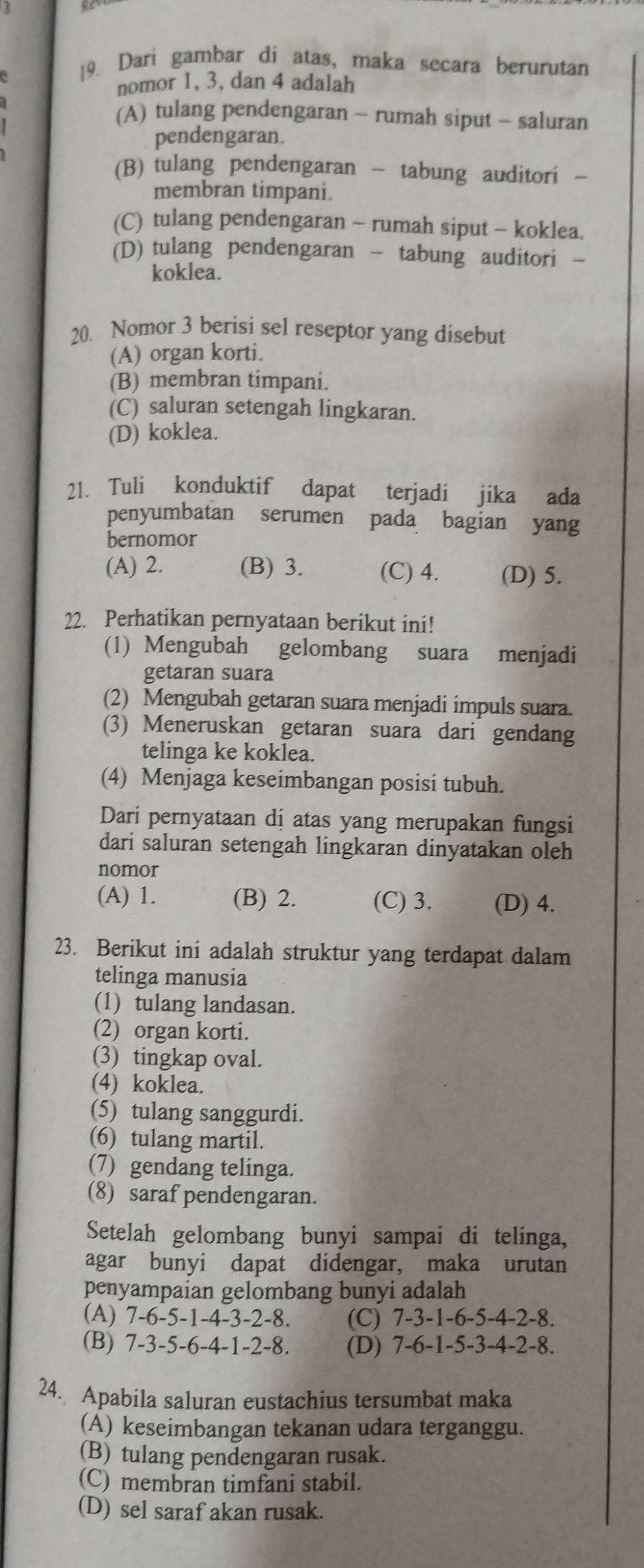 Dari gambar di atas, maka secara berurutan
nomor 1, 3, dan 4 adalah
(A) tulang pendengaran - rumah siput - saluran
pendengaran.
(B) tulang pendengaran - tabung auditori -
membran timpani.
(C) tulang pendengaran - rumah siput - koklea.
(D) tulang pendengaran - tabung auditori -
koklea.
20. Nomor 3 berisi sel reseptor yang disebut
(A) organ korti.
(B) membran timpani.
(C) saluran setengah lingkaran.
(D) koklea.
21. Tuli konduktif dapat terjadi jika ada
penyumbatan serumen pada bagian yang
bernomor
(A) 2. (B) 3. (C) 4. (D) 5.
22. Perhatikan pernyataan berikut ini!
(1) Mengubah gelombang suara menjadi
getaran suara
(2) Mengubah getaran suara menjadi impuls suara.
(3) Meneruskan getaran suara dari gendang
telinga ke koklea.
(4) Menjaga keseimbangan posisi tubuh.
Dari pernyataan dị atas yang merupakan fungsi
dari saluran setengah lingkaran dinyatakan oleh
nomor
(A) 1. (B) 2. (C) 3. (D) 4.
23. Berikut ini adalah struktur yang terdapat dalam
telinga manusia
(1) tulang landasan.
(2) organ korti.
(3) tingkap oval.
(4) koklea.
(5) tulang sanggurdi.
(6) tulang martil.
(7) gendang telinga.
(8) saraf pendengaran.
Setelah gelombang bunyi sampai di telinga,
agar bunyi dapat didengar, maka urutan
penyampaian gelombang bunyi adalah
(A) 7-6-5-1-4-3-2-8. (C) 7-3-1-6-5-4-2-8.
(B) 7-3-5-6-4-1-2-8. (D) 7-6-1-5-3-4-2-8.
24. Apabila saluran eustachius tersumbat maka
(A) keseimbangan tekanan udara terganggu.
(B) tulang pendengaran rusak.
(C) membran timfani stabil.
(D) sel saraf akan rusak.