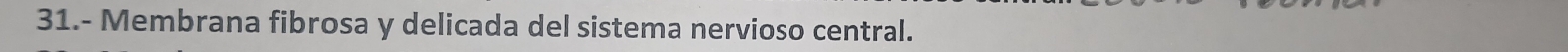 31.- Membrana fibrosa y delicada del sistema nervioso central.