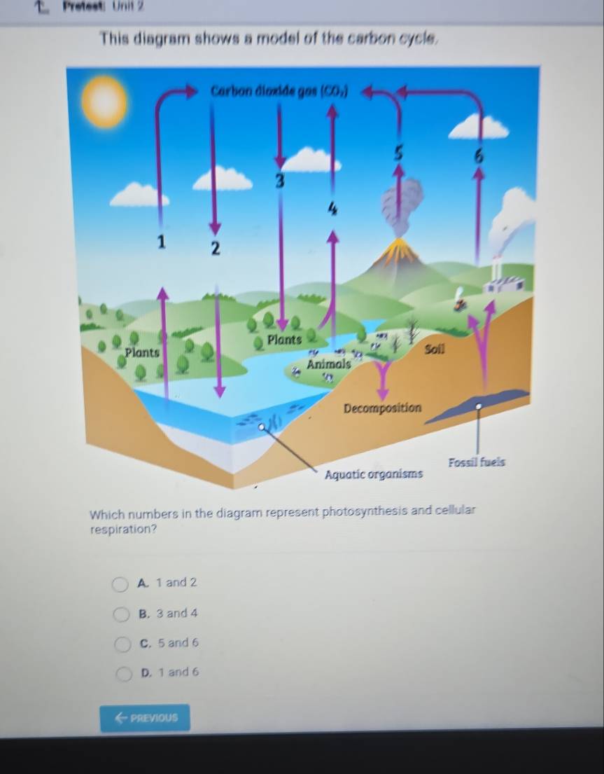 Solved: Pretest: Unit 2 This diagram shows a model of the carbon cycle ...