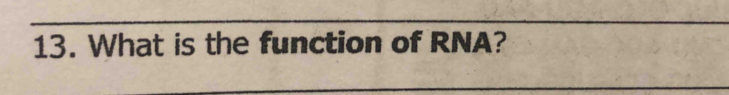 What is the function of RNA?