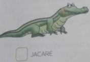 JACARE