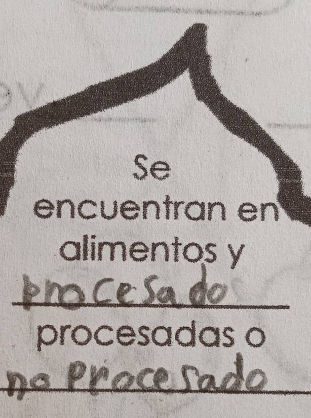 Se 
encuentran en 
alimentos y 
_ 
procesadas o 
_