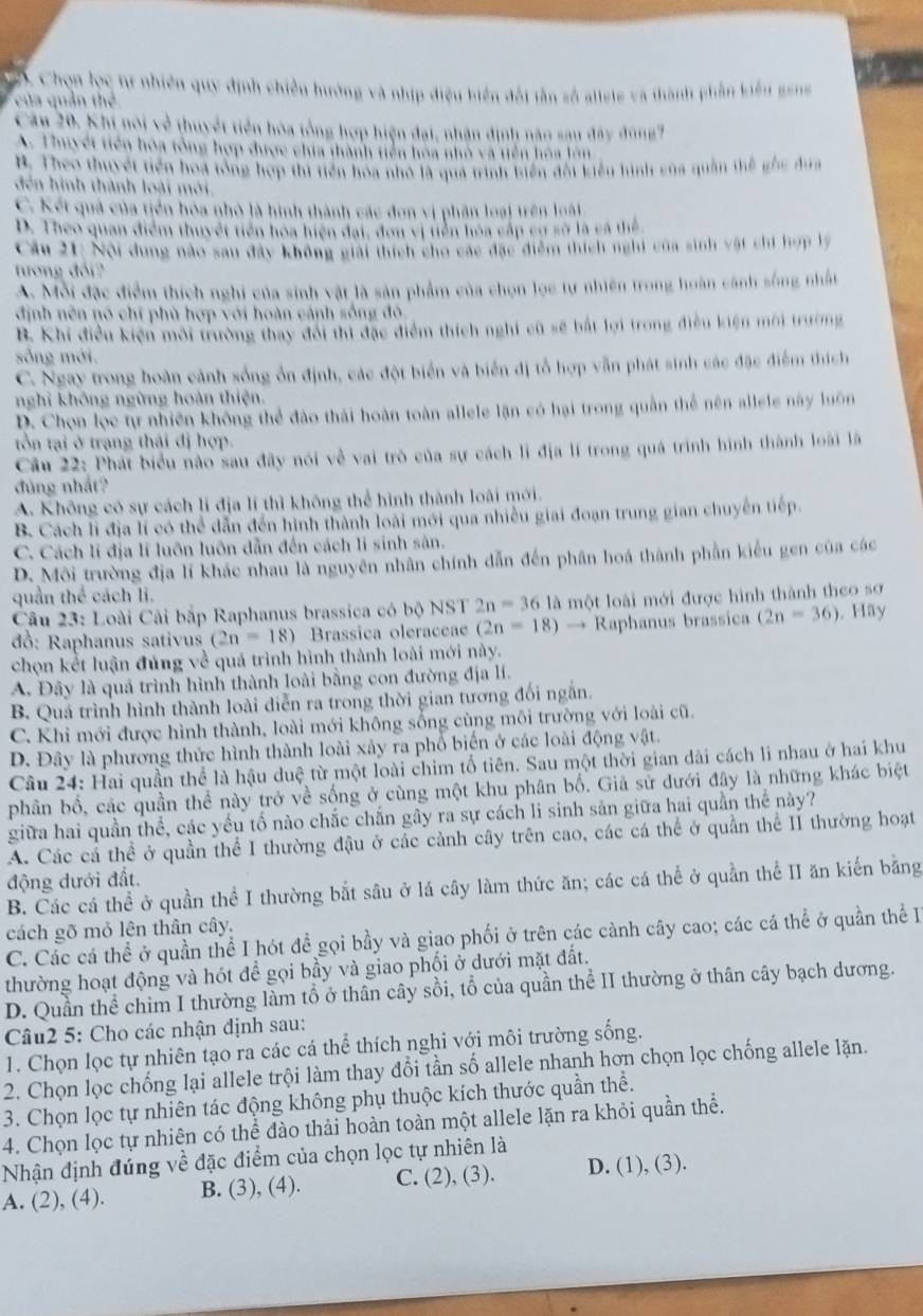 B. Chọn lọc tự nhiên quy định chiến hướng và nhịp điệu biển đổi tần số alisis và thành phần kiểu geng
của quản thể
Cầu 20. Khi nói về thuyết tiền hòa tổng hợp hiện đại, nhận định năo sau đây đùng7
A. Thuyết tiền hòa tổng hợp được chia thành tiền hóa nhỏ và tiên hòa lêm
B Theo thyết tiến hoa lổng hợp tử tiên hoa nhỏ là qua trình tiên đối kiểu tình của quân thế gốc đin
đến hình thành loài mới.
C. Kết quả của tiển hóa nhỏ là hình thành các đơn vị phân loại trên loài
D. Theo quan điểm thuyết tiên hoa hiện đại, đơn vị tiên hóa cấp cơ sở là cá thể
Câu 21: Nội dùng nào sau đây không giải thích cho các đặc điểm thiích nghi của sinh vật chi hợp 1
tương đói?
A. Mỗi đặc điểm thích nghi của sinh vật là sản phẩm của chọn lọc tự nhiên trong hoàn cánh sống nhất
định nền nó chỉ phù hợp với hoàn cánh sống đó
B. Khi điều kiện môi trường thay đổi thi đặc điểm thích nghi cũ sẽ bắt lợi trong điều kiện môi trường
sống mới.
C. Ngay trong hoàn cảnh sống ổn định, các đột biển và biển đị tổ hợp vẫn phát sinh các đặc điểm thích
nghỉ không ngừng hoàn thiện.
D. Chọn lọc tự nhiên không thể đào thái hoàn toàn allele lận có hại trong quần thể nên allele này luôn
tồn tại ở trạng thái đị hợp.
Cầu 22: Phát biểu nào sau đây nói về vai trò của sự cách li địa lí trong quá trình hình thành loài là
đủng nhất?
A. Không có sự cách li địa lí thì không thể hình thành loài mới.
B. Cách li địa lí có thể dẫn đến hình thành loài mới qua nhiều giai đoạn trung gian chuyến tiếp.
C. Cách li địa lí luôn luôn dẫn đến cách li sinh sản.
D. Môi trường địa lí khác nhau là nguyên nhân chính dẫn đến phân hoá thành phần kiểu gen của các
quần thể cách li.
Câu 23: Loài Cải bắp Raphanus brassica có bộ NST 2n=36 là một loài mới được hình thành theo sơ
đồ: Raphanus sativus (2n=18) Brassiça oleraceae (2n=18) → Raphanus brassica (2n-36). Hãy
chọn kết luận đúng về quá trình hình thành loài mới này.
A. Đây là quả trình hình thành loài bằng con đường địa lí.
B. Quá trình hình thành loài diễn ra trong thời gian tương đối ngắn.
C. Khi mới được hình thành, loài mới không sống cùng môi trường với loài cũ.
D. Đây là phương thức hình thành loài xảy ra phổ biến ở các loài động vật.
Câu 24: Hai quần thể là hậu duệ từ một loài chim tổ tiên. Sau một thời gian dài cách li nhau ở hai khu
phân bổ, các quần thể này trở về sống ở cùng một khu phân bố. Giả sử dưới đây là những khác biệt
giữa hai quần thể, các yếu tố nào chắc chắn gây ra sự cách li sinh sản giữa hai quần thể này?
A. Các cá thể ở quần thể I thường đậu ở các cảnh cây trên cao, các cá thể ở quần thể II thường hoạt
động đưới đất.
B. Các cá thể ở quần thể I thường bắt sâu ở lá cây làm thức ăn; các cá thể ở quần thể II ăn kiến bằng
cách gõ mỏ lên thân cây.
C. Các cá thể ở quần thể I hót để gọi bầy và giao phối ở trên các cành cây cao; các cá thể ở quần thể I
thường hoạt động và hót để gọi bầy và giao phối ở dưới mặt đất.
D. Quần thể chim I thường làm tổ ở thân cây sồi, tổ của quần thể II thường ở thân cây bạch dương.
Câu2 5: Cho các nhận định sau:
1. Chọn lọc tự nhiên tạo ra các cá thể thích nghi với môi trường sống.
2. Chọn lọc chống lại allele trội làm thay đổi tần số allele nhanh hơn chọn lọc chống allele lặn.
3. Chọn lọc tự nhiên tác động không phụ thuộc kích thước quần thể.
4. Chọn lọc tự nhiên có thể đào thải hoàn toàn một allele lặn ra khỏi quần thể.
Nhận định đúng về đặc điểm của chọn lọc tự nhiên là
A. (2), (4). B. (3), (4). C. (2), (3). D. (1), (3).