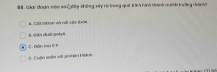 Giai đoạn nào sau đây không xây ra trong quá trình hình thành mARN trưởng thành?
A. Cát Intron và nổi các êxôn.
B. Gán đuôi polyA.
C. Gán mũ 5'P.
D. Cuộn xoắn với protein Histon.