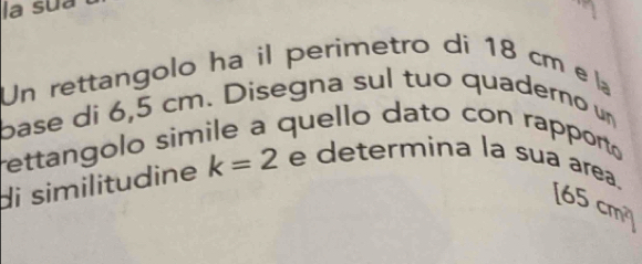 la sua 
Un rettangolo ha il perimetro di 18 cm e la 
base di 6,5 cm. Disegna sul tuo quaderno un 
rettangolo simile a quello dato con rapport 
di similitudine k=2 e determina la sua area.