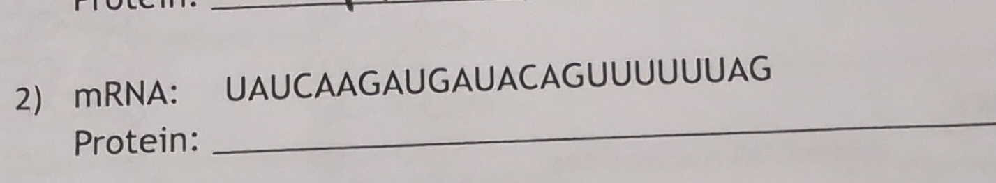 mRNA: UAUCAAGAUGAUACAGUUUUUUAG 
Protein: 
_