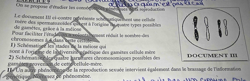 On se propose d'étudier les conséquences génétiques de la reproduction 
Le document III ci-contre représente schématiquement une cellule 
mère des spermatozoïdes qui est à l'origine de quatre types possibles 
de gamètes, grâce à la méiose 
Pour faciliter l'étude, on a volontairement réduit le nombre-des 
chromosomes à 4 dans cette cellule. 
1) Schématisez les stades de la méiose qui 
sont à l'origine de la diversité génétique des gamètes cellule mère 
2) Schématisez les quatre garnitures chromosomiques possibles des 
gamètes provenant de cette cellule-mère. 
II- Un autre phénomène de la reproduction sexuée intervient également dans le brassage de l'information 
génétique. Nommez ce phénomène.