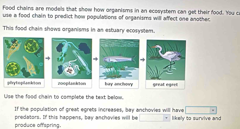 Food chains are models that show how organisms in an ecosystem can get their food. You c 
use a food chain to predict how populations of organisms will affect one another. 
This food chain shows organisms in an estuary ecosystem. 
Use the food chain to complete the text below. 
If the population of great egrets increases, bay anchovies will have 
predators. If this happens, bay anchovies will be likely to survive and 
produce offspring.