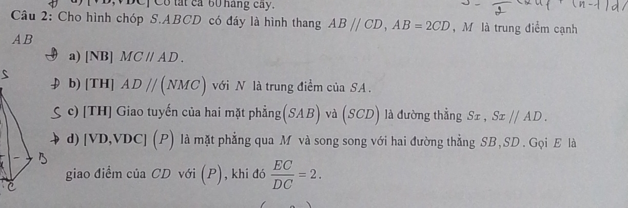 a x, y+DC Co tất cả 60 háng cay. 
Câu 2: Cho hình chóp S. ABCD có đáy là hình thang AB//CD, AB=2CD , M là trung điểm cạnh
AB
a) [NB] MCparallel AD. 
b) [TH] ADparallel (NMC) với N là trung điểm của SA. 
c) [TH] Giao tuyến của hai mặt phẳng(SAB) và (SCD) là đường thẳng Sơ , Sx//AD. 
d) [ VD, VDC ] (P) là mặt phẳng qua M và song song với hai đường thẳng SB , SD. Gọi E là 
giao điểm của CD với (P), khi đó  EC/DC =2.