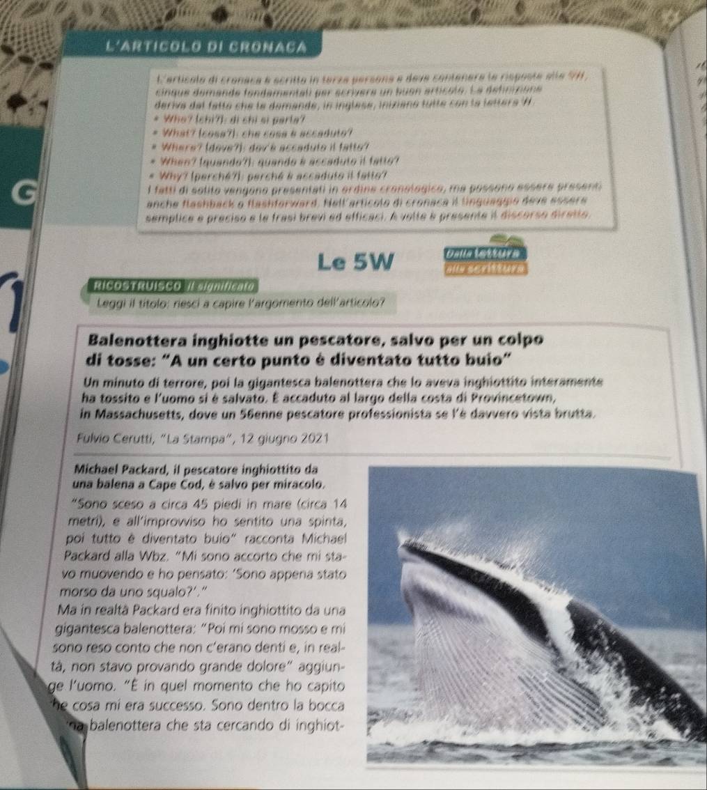 L'Articolo di Cronaca
lerticale di cronaca é scritte in terze persona e deve conténere le risposte alle SH .
cinque démande fandamentali par acrivere un buan articole. La défnizione
deriva del fatte che le demande, in inglese, iniziano tutte con la letters H  
Who? (chi?): di chi si parla?
What? (cosa?): she cose a accaduto?
Where? (dove?): dov's accaduto il fatto?
When? (quando?): quando à ascaduto it fatto?
Why? (perché?): perché è accaduto il fatto?
l fatti di solito vengono presentati in ordine cronológico, ma possono essere present
anche flashback o flashforward. Nell'articolo di cronaca il linguagiio deve assere
semplice e preciso e le frasi brevi ed efficaci. A volte à presente il discorso diretto.
Dalla Lattuy n
Le 5W als scritturs
RICOSTRUISCO VL cignificate
Leggi il títolo: riesci a capire largomento dell'artícolo?
Balenottera inghiotte un pescatore, salvo per un colpo
di tosse: “A un certo punto è diventato tutto buio”
Un minuto di terrore, poi la gigantesca balenottera che lo aveva inghiottito interamente
ha tossito e l'uomo si é salvato. É accaduto al largo della costa di Provincetown,
in Massachusetts, dove un 56enne pescatore professionista se lè davvero vista brutta.
Fulvio Cerutti, “La Stampa”, 12 giugno 2021
Michael Packard, il pescatore inghiottito da
una balena a Cape Cod, è salvo per miracolo.
“Sono sceso a circa 45 piedi in mare (circa 14
metri), e all'improwiso ho sentito una spinta,
poi tutto é diventato buio" racconta Michael
Packard alla Wbz. “Mi sono accorto che mi sta-
vo muovendo e ho pensato: ‘Sono appena stato
morso da uno squalo?’.”
Ma in realtà Packard era finito inghiottito da una
gigantesca balenottera: “Poi mi sono mosso e mi
sono reso conto che non c'erano denti e, in real-
tà, non stavo provando grande dolore" aggiun-
ge l'uomo. "É in quel momento che ho capito
he cosa mi era successo. Sono dentro la bocca
* a balenottera che sta cercando di inghiot-