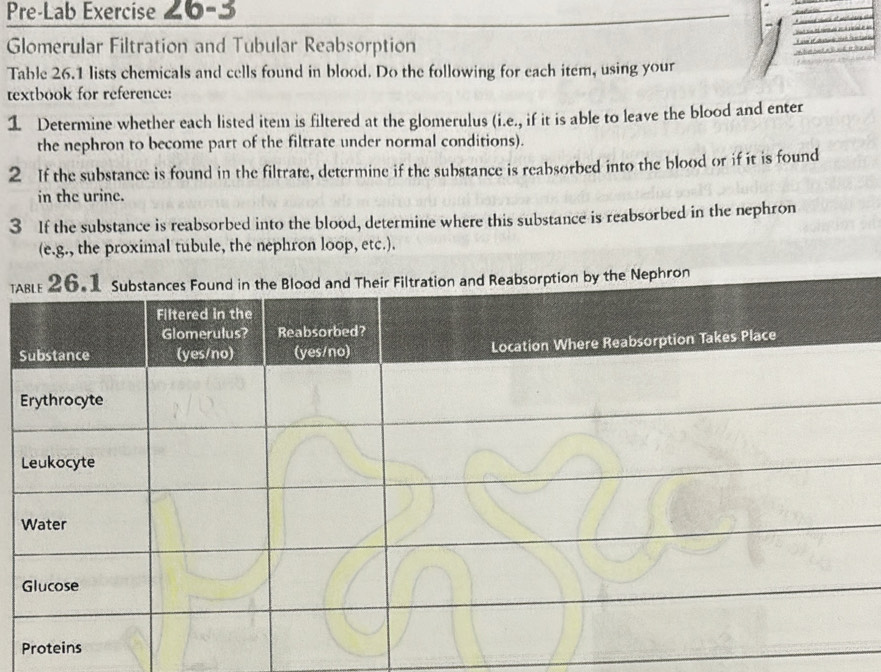 Solved: Pre-Lab Exercise 20-3 Glomerular Filtration and Tubular ...