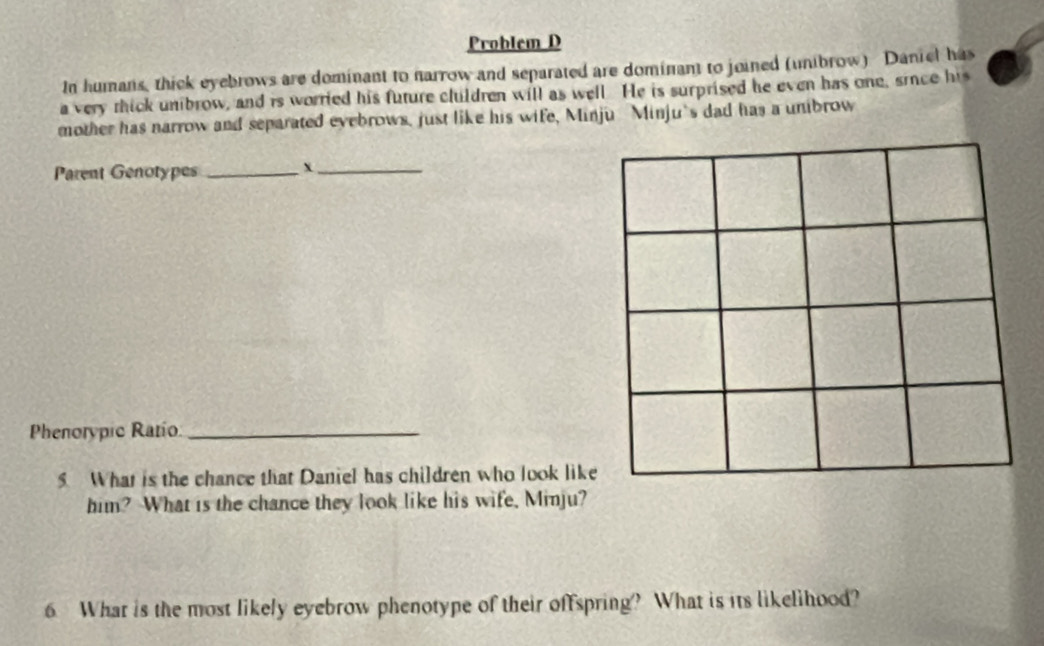 Problem D 
In humans, thick eyebrows are dominant to narrow and separated are dominant to joined (unibrow) Daniel has 
a very thick unibrow, and is worried his future cluldren will as well. He is surprised he even has one, since his 
mother has narrow and separated evebrows, just like his wife, Minju Minju's dad has a unibrow 
Parent Genotypes _X_ 
Phenorypic Ratio_ 
5. What is the chance that Daniel has children who look like 
him? What is the chance they look like his wife, Minju? 
6 What is the most likely eyebrow phenotype of their offspring? What is its likelihood?