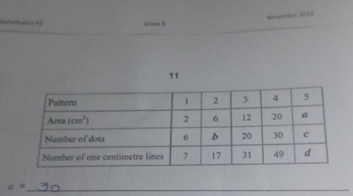 November 2023
dathematics P2 Grade 8
11
_ a=