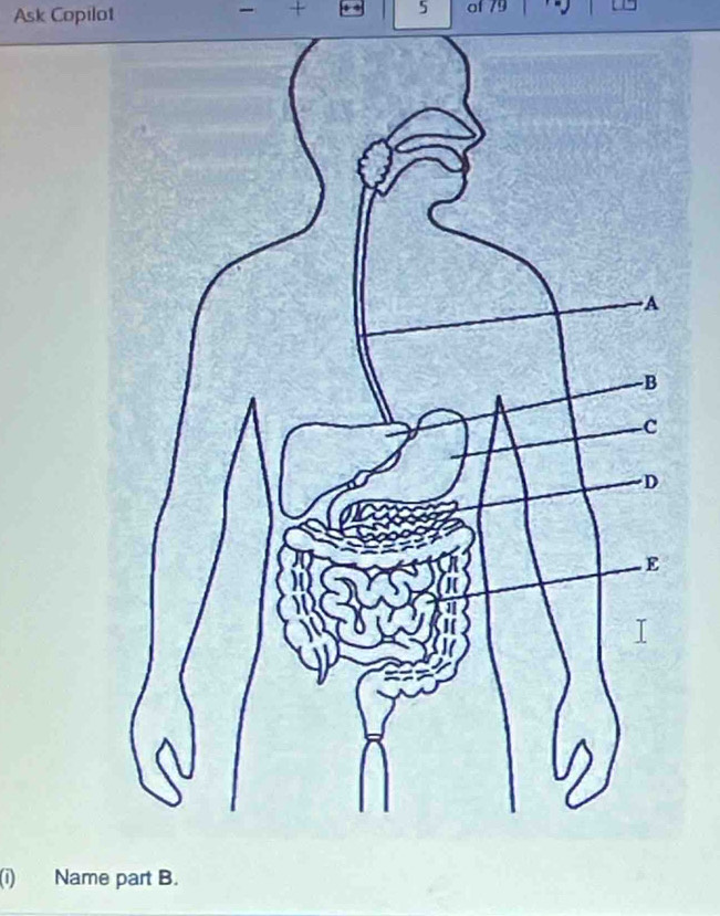 + 5 
Ask Copilot of 79
(i) Name part B.