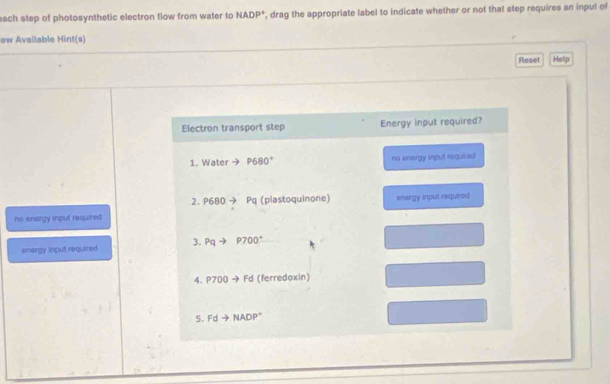 ach step of photosynthetic electron flow from water to NADP^+ , drag the appropriate label to indicate whether or not that step requires an input of 
ew Available Hint(s) 
Reset Help 
Electron transport step Energy input required? 
1. Water P680° no energy input required 
2. P680 Pq (plastoquinone) energy inpul required 
no energy input required 
3. PC P700°
energy input required 
4. P700to Fc (ferredoxin) 
5. Fdto NADP^+