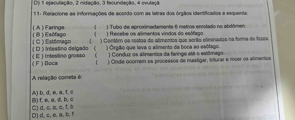 D) 1 ejaculação, 2 nidação, 3 fecundação, 4 ovulaçã
11- Relacione as informações de acordo com as letras dos órgãos identificados a esquerda:
( A ) Faringe  ) Tubo de aproximadamente 6 metros enrolado no abdômen.
( B ) Esôfago ( ) Recebe os alimentos vindos do esôfago.
( C ) Estômago  ) Contém os restos de alimentos que serão eliminados na forma de fezes.
( D ) Intestino delgado ( ) Órgão que leva o alimento da boca ao esôfago.
( E ) Intestino grosso  ) Conduz os alimentos da faringe até o estômago.
( F ) Boca  ) Onde ocorrem os processos de mastigar, triturar e moer os alimentos
A relação correta é:
A) b, d, e, a, f, c
B) f, e, a, d, b, c
C) d, c, a, e, f, b
D) d, c, e, a, b, f