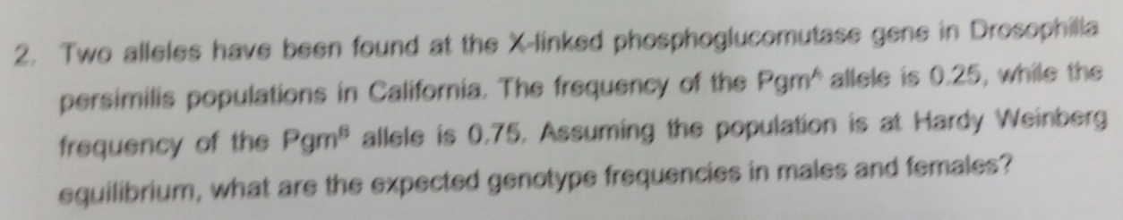 Two alleles have been found at the X -linked phosphoglucomutase gene in Drosophilla 
persimilis populations in California. The frequency of the Pgm^A allele is 0.25, while the 
frequency of the Pgm^8 allele is 0.75. Assuming the population is at Hardy Weinberg 
equilibrium, what are the expected genotype frequencies in males and females?