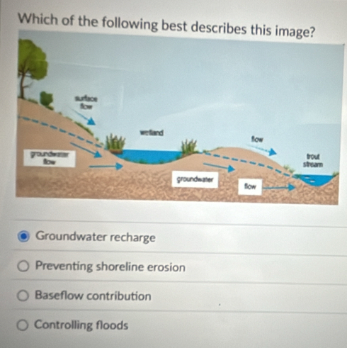 Which of the following bes
Groundwater recharge
Preventing shoreline erosion
Baseflow contribution
Controlling floods