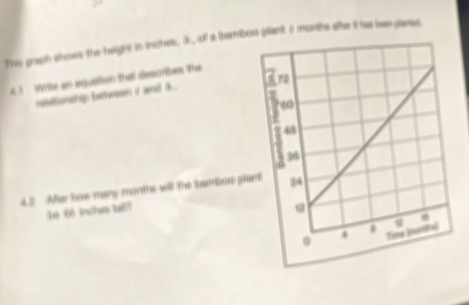 The graph shows the height in inches, i, off a thanbus glant s months ake it has twe paess
43 Wite an aguation that desuribes the 
reletionship between i amd / .
42 Afe how many months will the bambre pla 
be 66 inches tall?