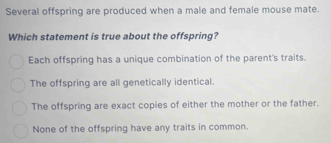 Solved: Several offspring are produced when a male and female mouse ...