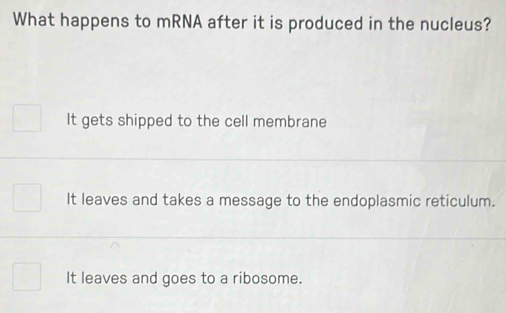 What happens to mRNA after it is produced in the nucleus?
It gets shipped to the cell membrane
It leaves and takes a message to the endoplasmic reticulum.
It leaves and goes to a ribosome.