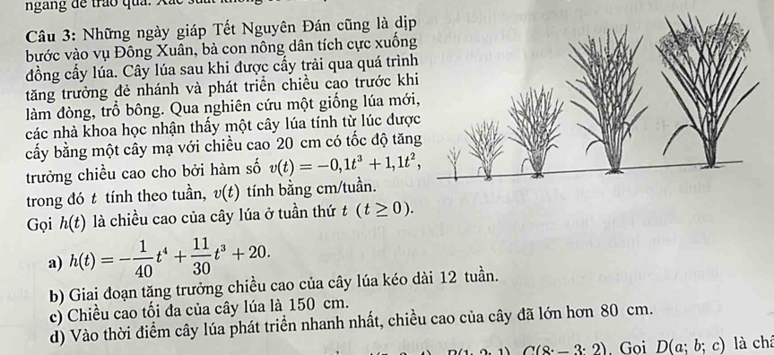 ngang de trao qua . A 
Câu 3: Những ngày giáp Tết Nguyên Đán cũng là dịp
bước vào vụ Đông Xuân, bà con nông dân tích cực xuống
đồng cấy lúa. Cây lúa sau khi được cấy trải qua quá trình
tăng trưởng đẻ nhánh và phát triển chiều cao trước kh
làm đòng, trồ bông. Qua nghiên cứu một giống lúa mới
các nhà khoa học nhận thấy một cây lúa tính từ lúc đượ
cấy bằng một cây mạ với chiều cao 20 cm có tốc độ tăn
trưởng chiều cao cho bởi hàm số v(t)=-0,1t^3+1,1t^2, 
trong đó t tính theo tuần, v(t) tính bằng cm/tuần.
Gọi h(t) là chiều cao của cây lúa ở tuần thứ t(t≥ 0).
a) h(t)=- 1/40 t^4+ 11/30 t^3+20.
b) Giai đoạn tăng trưởng chiều cao của cây lúa kéo dài 12 tuần.
c) Chiều cao tối đa của cây lúa là 150 cm.
d) Vào thời điểm cây lúa phát triển nhanh nhất, chiều cao của cây đã lớn hơn 80 cm.
C(8^.-3^.2). Goi D(a;b;c) là châ