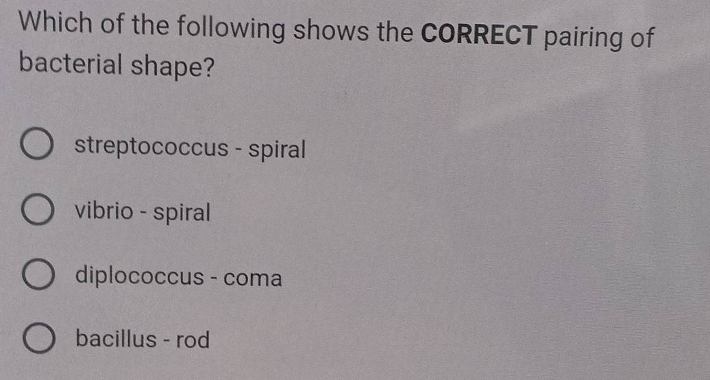 Which of the following shows the CORRECT pairing of
bacterial shape?
streptococcus - spiral
vibrio - spiral
diplococcus - coma
bacillus - rod