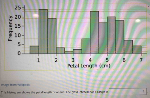 Image from Wikipedia 
This histogram shows the petal length of an Iris. The class interval has a range of □°