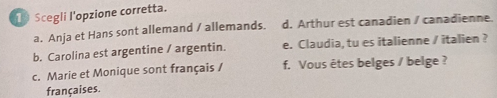 1p Scegli l'opzione corretta.
a. Anja et Hans sont allemand / allemands. d. Arthur est canadien / canadienne.
b. Carolina est argentine / argentin. e. Claudia, tu es italienne / italien ?
c. Marie et Monique sont français / f. Vous êtes belges / belge ?
françaises.