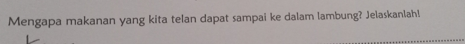 Mengapa makanan yang kita telan dapat sampai ke dalam lambung? Jelaskanlah!