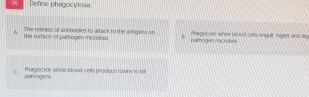 Define phagocytosis. 
A the surface of pathogen microbes The release of ani bodlies to artach to the antgess on p==hogen microb=== magocvte white bood selts engull ingest aes di 
c Phagocyte white blood cells produce toxins to iuill 
pathogens