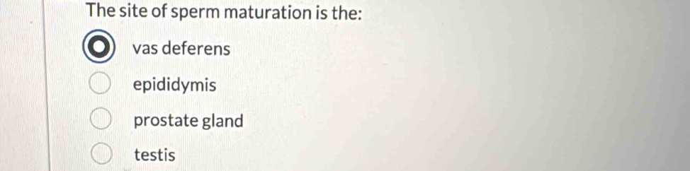 The site of sperm maturation is the:
vas deferens
epididymis
prostate gland
testis