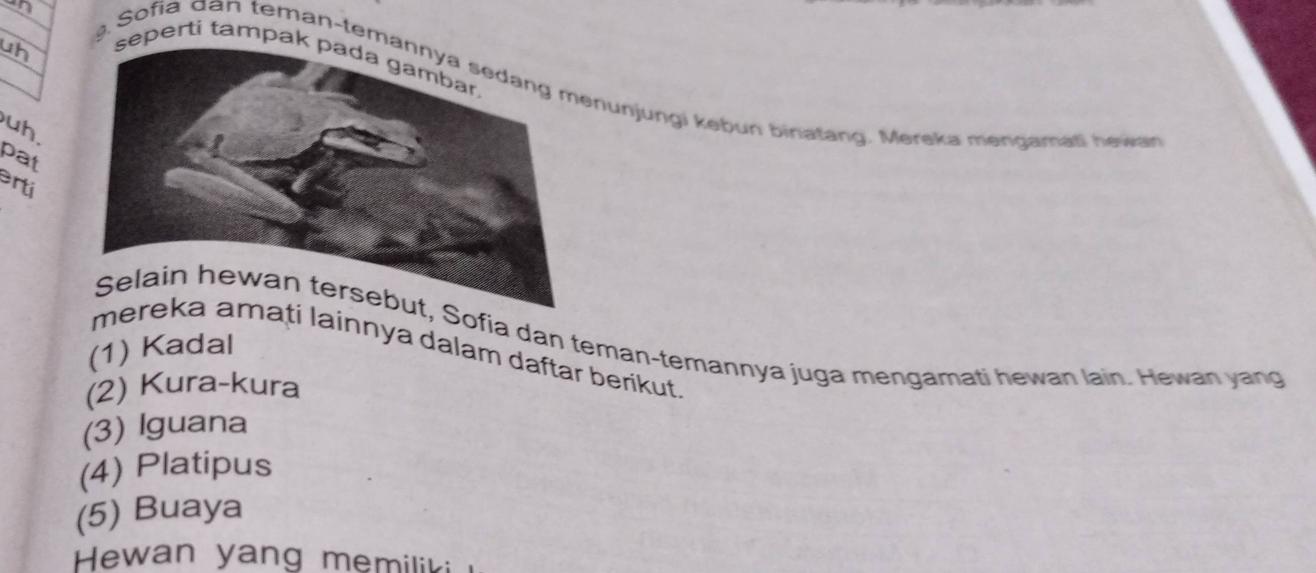 uh 
eperti tampa 
g Sofia dan teman-temnunjungi kebun binatang. Mereka mengamat hewan 
uh. 
pat 
erti 
fia dan teman-temannya juga mengamati hewan lain. Hewan yang 
(1) Kadal 
m lainnya dalam daftar berikut 
(2) Kura-kura 
(3) Iguana 
(4) Platipus 
(5) Buaya 
Hewan yang memiliki