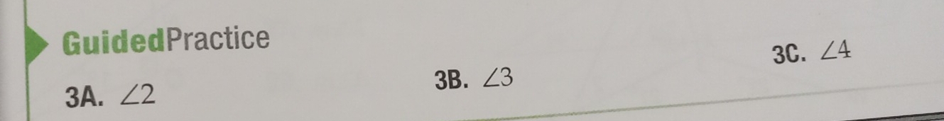 GuidedPractice
3C. ∠ 4
3A. ∠ 2
3B. ∠ 3