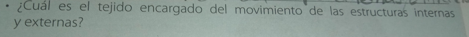 ¿Cuál es el tejido encargado del movimiento de las estructuras internas 
y externas?