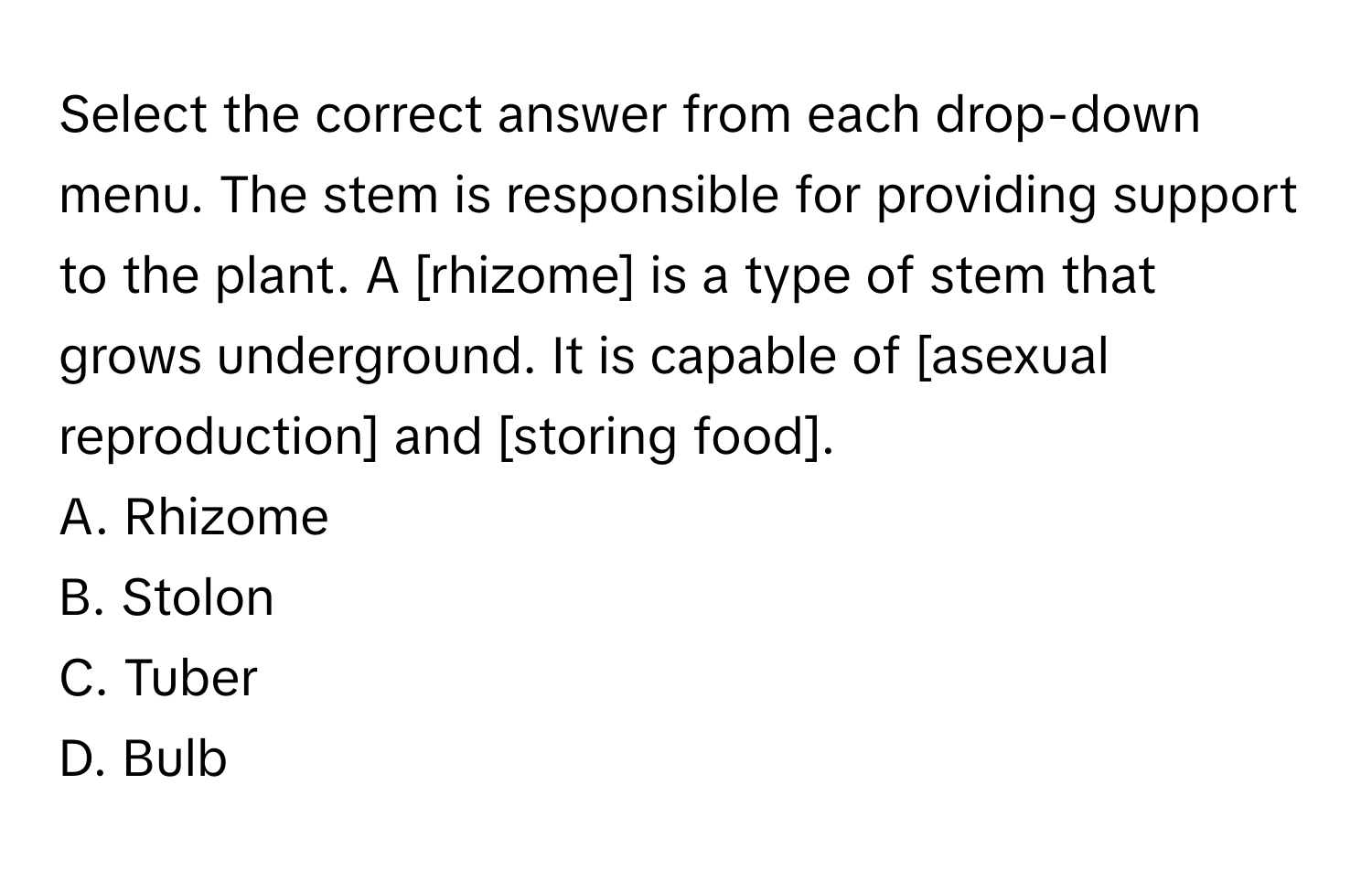 Select the correct answer from each drop-down menu. The stem is responsible for providing support to the plant. A [rhizome] is a type of stem that grows underground. It is capable of [asexual reproduction] and [storing food].

A. Rhizome
B. Stolon
C. Tuber
D. Bulb