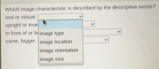 Solved: Which image characteristic is described by the descriptive ...