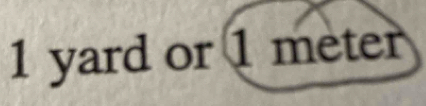 1 yard or 1 meter