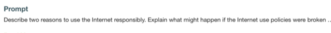 Prompt 
Describe two reasons to use the Internet responsibly. Explain what might happen if the Internet use policies were broken .