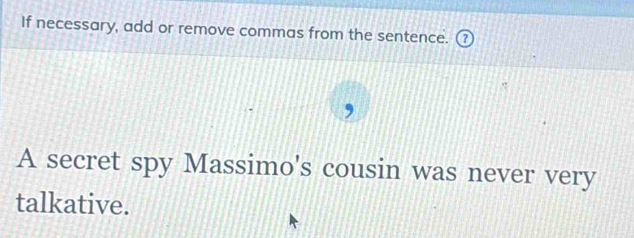 If necessary, add or remove commas from the sentence. 
A secret spy Massimo's cousin was never very 
talkative.