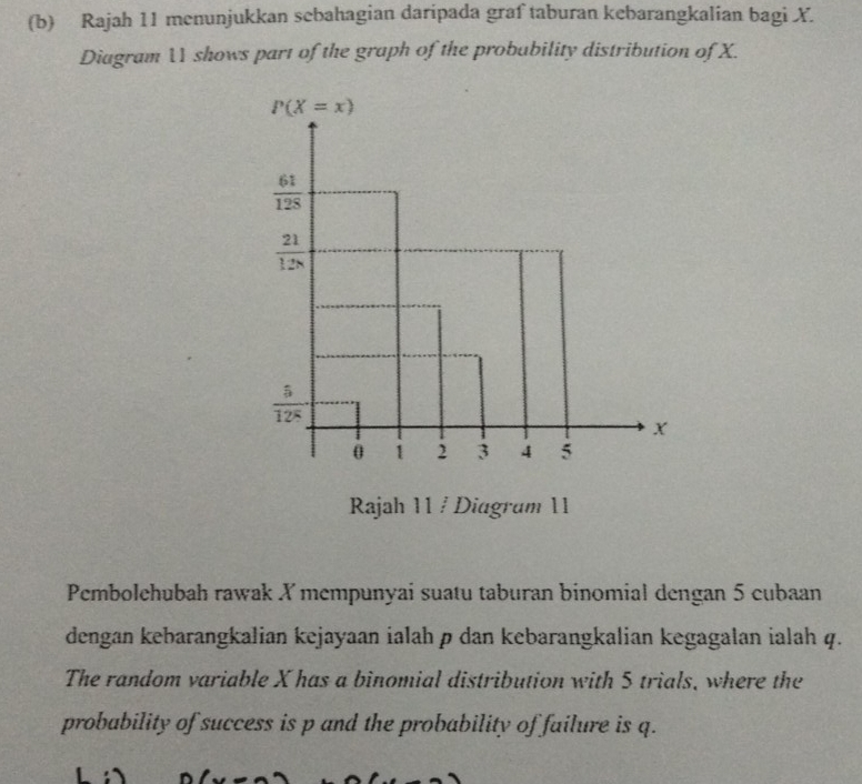 Rajah 11 menunjukkan sebahagian daripada graf taburan kebarangkalian bagi X.
Diagram 1 shows part of the graph of the probubility distribution of X.
Pembolehubah rawak X mempunyai suatu taburan binomial dengan 5 cubaan
dengan kebarangkalian kejayaan ialah ø dan kebarangkalian kegagalan ialah q.
The random variable X has a binomial distribution with 5 trials, where the
probability of success is p and the probability of failure is q.