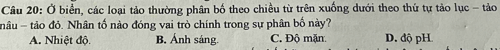 Ở biển, các loại tảo thường phân bố theo chiều từ trên xuống dưới theo thứ tự tảo lục - tảo
nâu - tảo đỏ. Nhân tố nào đóng vai trò chính trong sự phân bố này?
A. Nhiệt độ. B. Ánh sáng. C. Độ mặn D. độ pH.