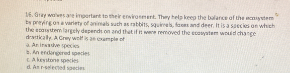 Gray wolves are important to their environment. They help keep the balance of the ecosystem
by preying on a variety of animals such as rabbits, squirrels, foxes and deer. It is a species on which
the ecosystem largely depends on and that if it were removed the ecosystem would change
drastically. A Grey wolf is an example of
a. An invasive species
b. An endangered species
c. A keystone species
d. An r-selected species