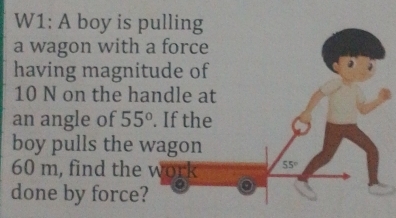 W1: A boy is pulling 
a wagon with a force 
having magnitude of
10 N on the handle at 
an angle of 55°. If the 
boy pulls the wagon
60 m, find the work 55°
done by force?