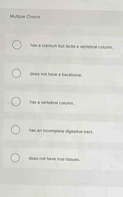 has a cranium but lacks a vertebral column.
does not have a backbone.
has a vertebral column.
has an incomplete digestive tract.
does not have true tissues.